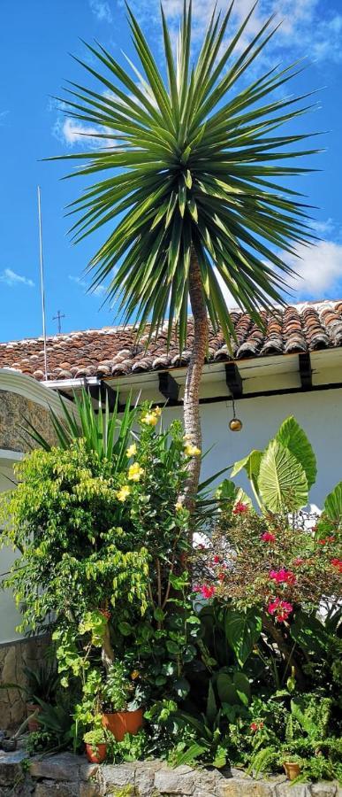 Hotel Posada Casa Juana San Cristóbal de Las Casas Exteriör bild